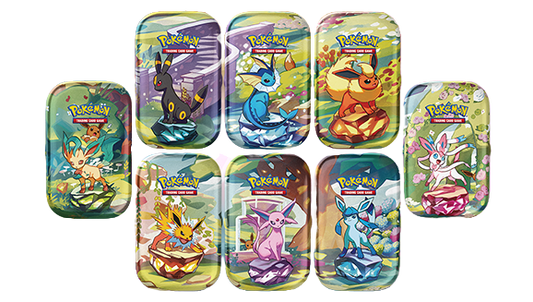 Display of Mini tin ev8.5